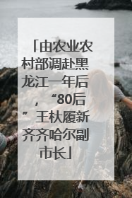由农业农村部调赴黑龙江一年后，“80后”王杕履新齐齐哈尔副市长