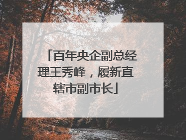 百年央企副总经理王秀峰，履新直辖市副市长