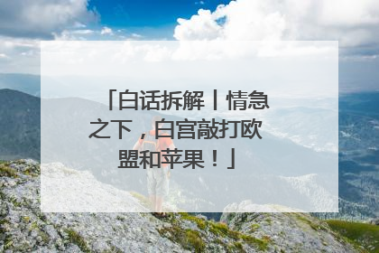 白话拆解丨情急之下，白宫敲打欧盟和苹果！