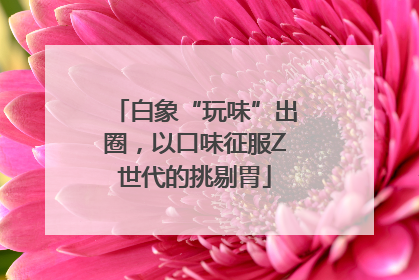白象“玩味”出圈，以口味征服Z世代的挑剔胃