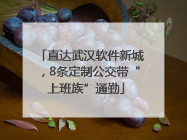 直达武汉软件新城，8条定制公交带“上班族”通勤