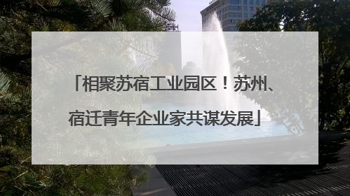 相聚苏宿工业园区！苏州、宿迁青年企业家共谋发展