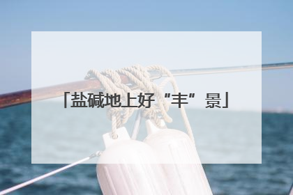 盐碱地上好“丰”景