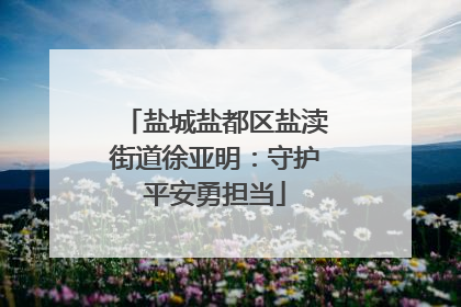 盐城盐都区盐渎街道徐亚明：守护平安勇担当