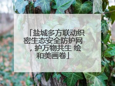 盐城多方联动织密生态安全防护网，护万物共生 绘和美画卷