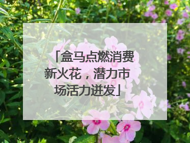 盒马点燃消费新火花，潜力市场活力迸发