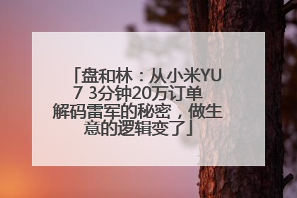 盘和林：从小米YU7 3分钟20万订单解码雷军的秘密，做生意的逻辑变了