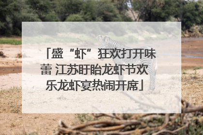 盛“虾”狂欢打开味蕾 江苏盱眙龙虾节欢乐龙虾宴热闹开席