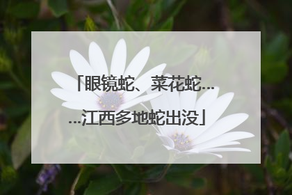 眼镜蛇、菜花蛇……江西多地蛇出没
