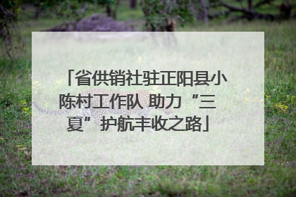 省供销社驻正阳县小陈村工作队 助力“三夏”护航丰收之路