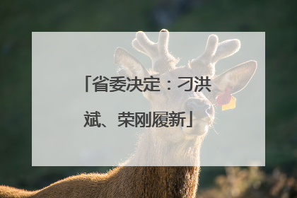 省委决定：刁洪斌、荣刚履新