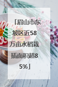 眉山市东坡区近58万亩水稻栽插面积超85%