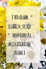 看金融“五篇大文章”如何助力龙江高质量发展