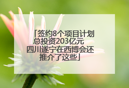 签约8个项目计划总投资203亿元 四川遂宁在西博会还推介了这些