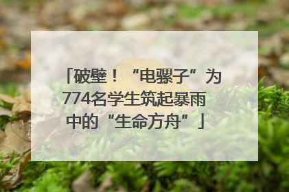 破壁！“电骡子”为774名学生筑起暴雨中的“生命方舟”