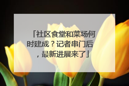 社区食堂和菜场何时建成？记者串门后，最新进展来了