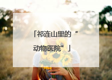 祁连山里的“动物医院”