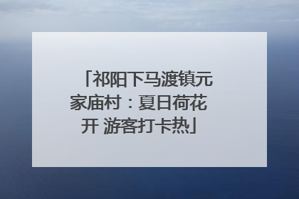 祁阳下马渡镇元家庙村：夏日荷花开 游客打卡热
