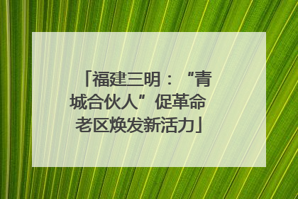 福建三明：“青城合伙人”促革命老区焕发新活力