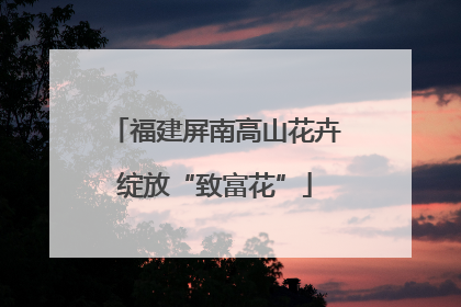 福建屏南高山花卉绽放“致富花”