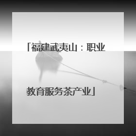 福建武夷山：职业教育服务茶产业