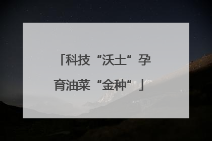 科技“沃土”孕育油菜“金种”