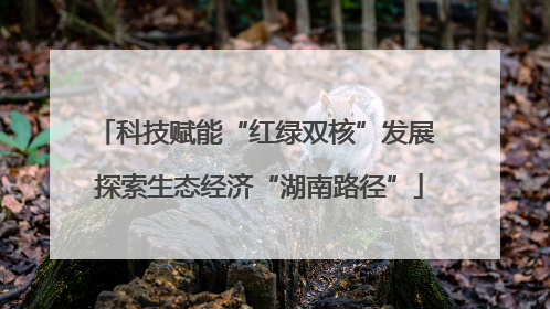 科技赋能“红绿双核”发展 探索生态经济“湖南路径”