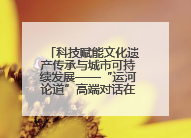 科技赋能文化遗产传承与城市可持续发展——“运河论道”高端对话在京举办
