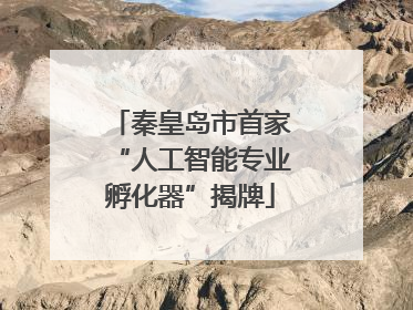 秦皇岛市首家“人工智能专业孵化器”揭牌