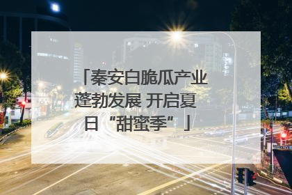 秦安白脆瓜产业蓬勃发展 开启夏日“甜蜜季”