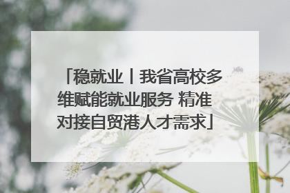 稳就业丨我省高校多维赋能就业服务 精准对接自贸港人才需求
