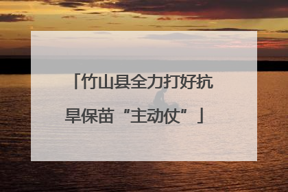 竹山县全力打好抗旱保苗“主动仗”