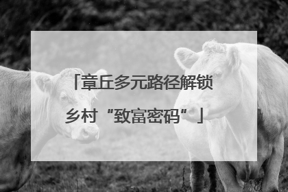 章丘多元路径解锁乡村“致富密码”