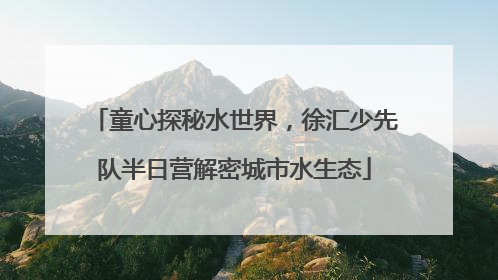 童心探秘水世界，徐汇少先队半日营解密城市水生态