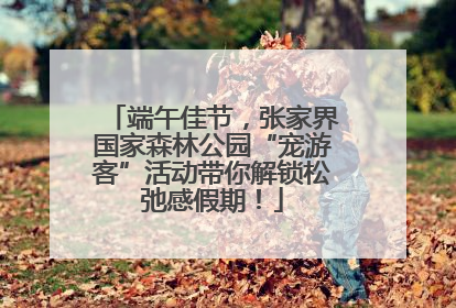 端午佳节，张家界国家森林公园“宠游客”活动带你解锁松弛感假期！