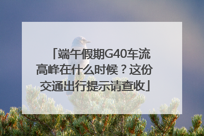 端午假期G40车流高峰在什么时候？这份交通出行提示请查收