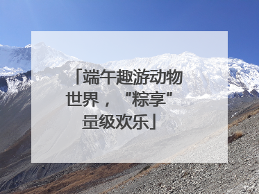 端午趣游动物世界，“粽享”量级欢乐