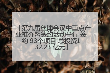第九届丝博会汉中重点产业推介暨签约活动举行 签约 93个项目 总投资132.23 亿元