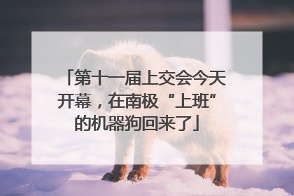 第十一届上交会今天开幕，在南极“上班”的机器狗回来了