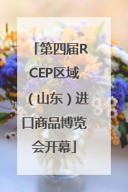 第四届RCEP区域（山东）进口商品博览会开幕