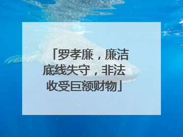 罗孝廉，廉洁底线失守，非法收受巨额财物