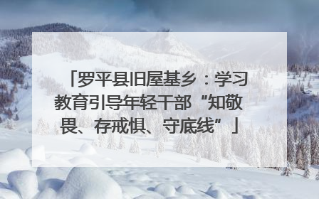 罗平县旧屋基乡：学习教育引导年轻干部“知敬畏、存戒惧、守底线”