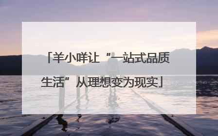 羊小咩让“一站式品质生活”从理想变为现实