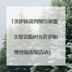 美伊核谈判细节披露：美提议临时允许伊朗继续铀浓缩活动