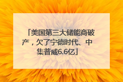 美国第三大储能商破产，欠了宁德时代、中集普威6.6亿