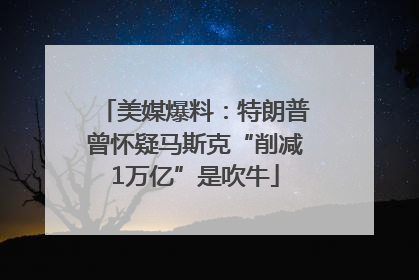 美媒爆料：特朗普曾怀疑马斯克“削减1万亿”是吹牛