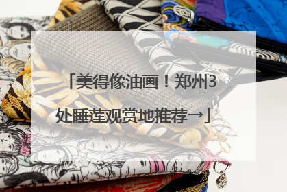 美得像油画！郑州3处睡莲观赏地推荐→
