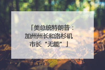 美总统特朗普：加州州长和洛杉矶市长“无能”