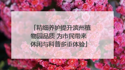 精细养护提升滨州植物园品质 为市民带来休闲与科普多重体验