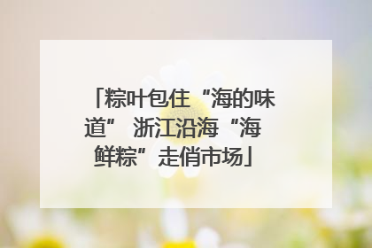 粽叶包住“海的味道” 浙江沿海“海鲜粽”走俏市场